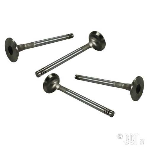 Edelstahl-Ventile 32 mm Satz (4 Stück)