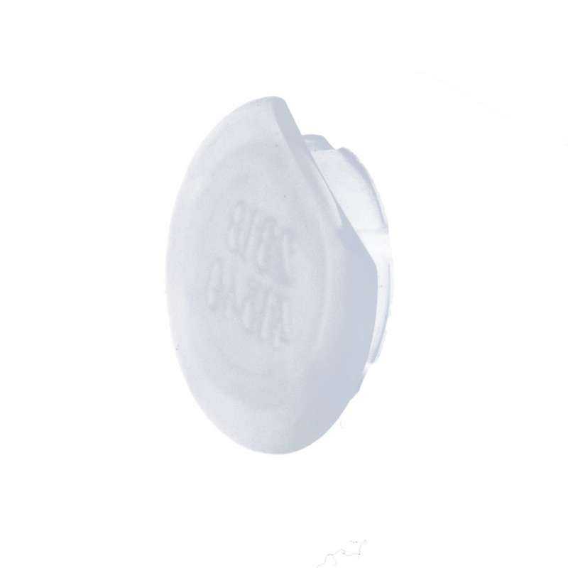 Plug side cargo door hinge, transparent