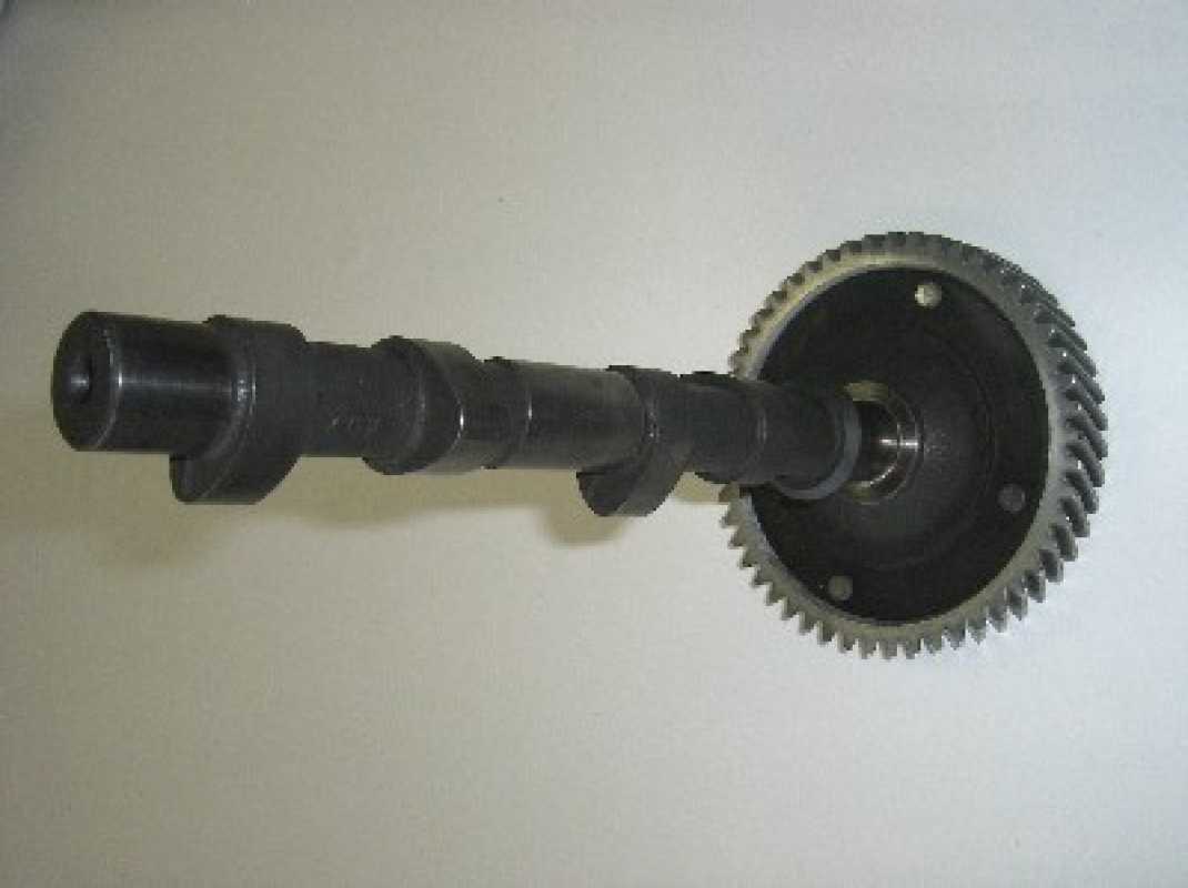 Schleicher Camshaft VW Beetle 316°